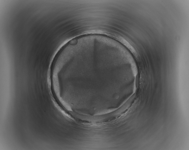 X0000111811084200908201105