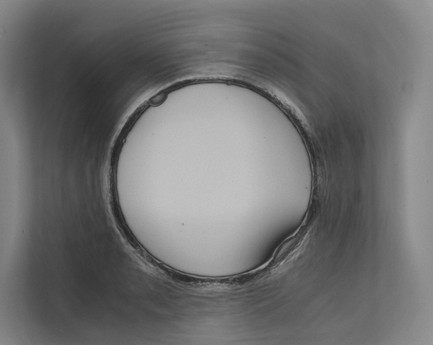 X0000111811085200908201105