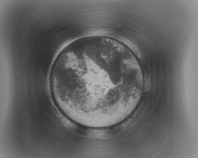 X0000111811086200908201105