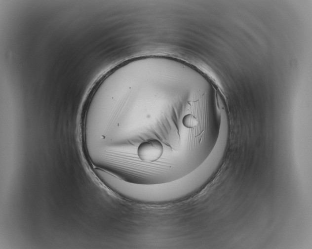 X0000111811088200908201105