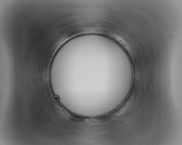 X0000111811089200908201105