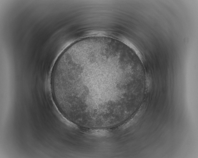 X0000111811090200908201105