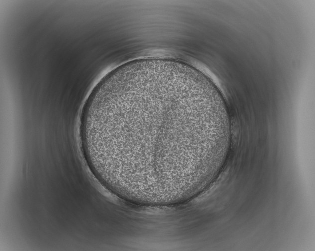 X0000111811091200908201105