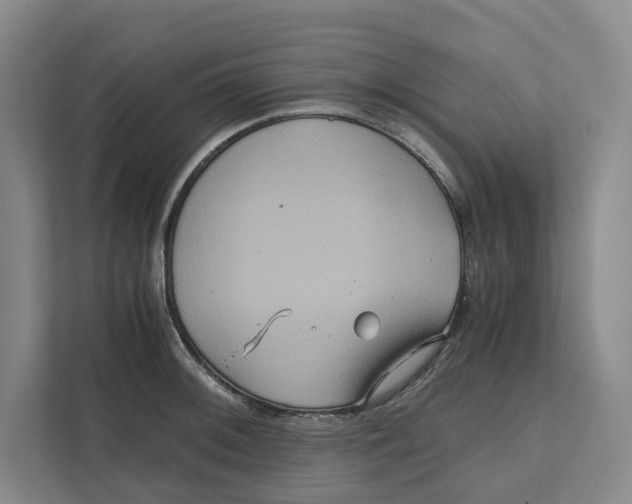 X0000111811092200908201105