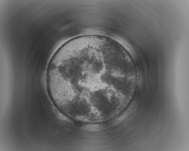X0000111811094200908201105