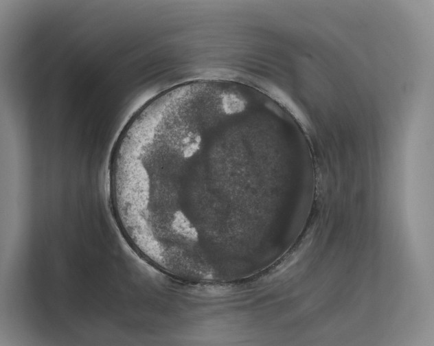 X0000111811095200908201105