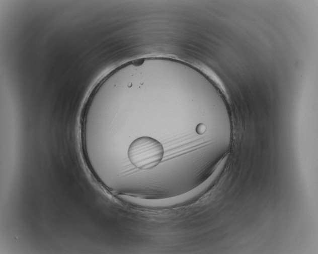 X0000111811096200908201105