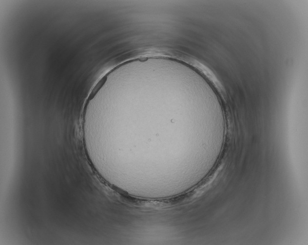 X0000111811097200908201105