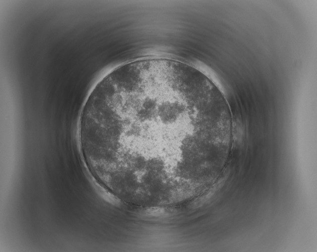 X0000111811098200908201105