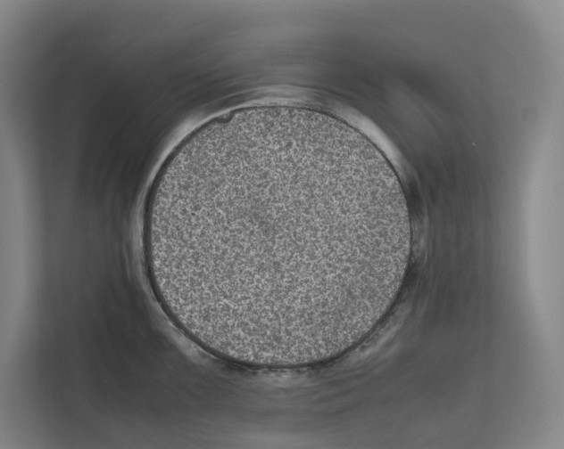 X0000111811099200908201105