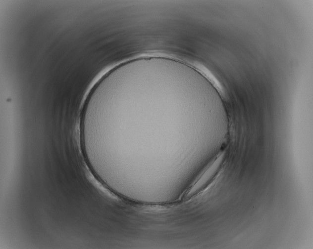 X0000111811100200908201105