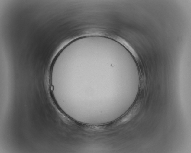 X0000111811101200908201105