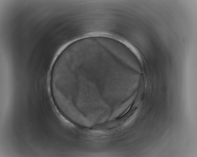X0000111811102200908201105
