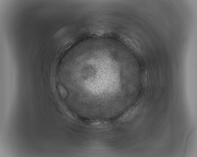 X0000111811105200908201104
