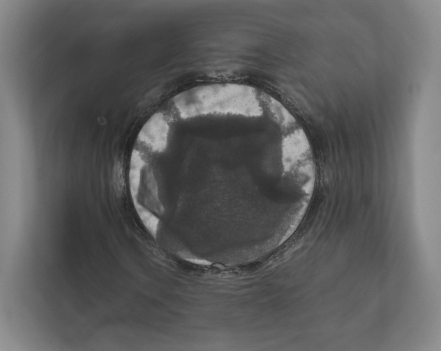 X0000111811106200908201104