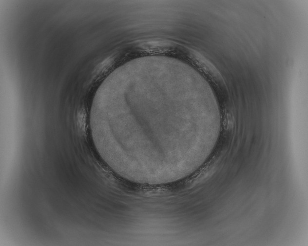X0000111811108200908201105