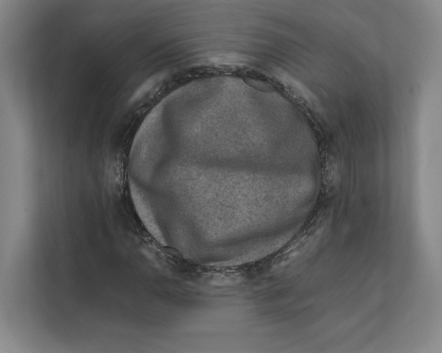 X0000111811110200908201105