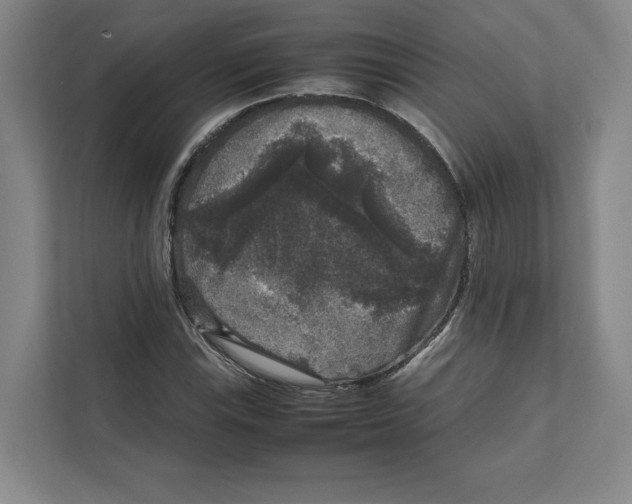 X0000111811115200908201105