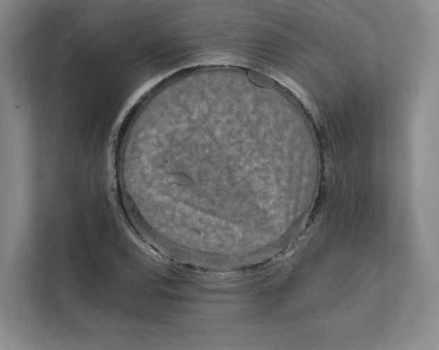 X0000111811120200908201105