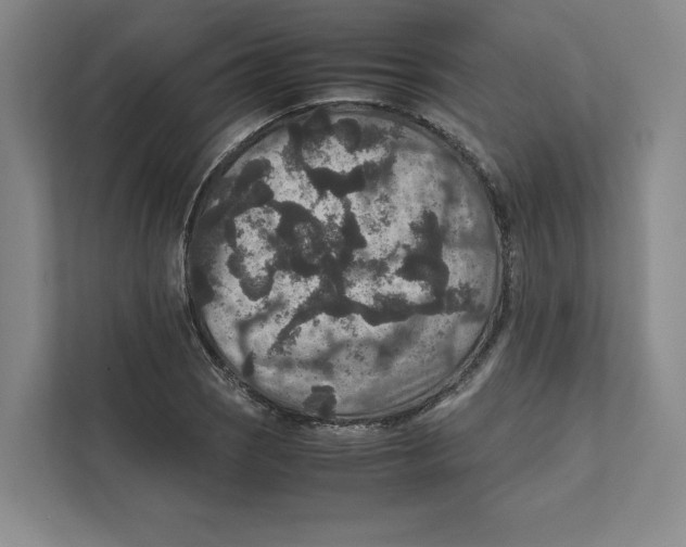 X0000111811121200908201105
