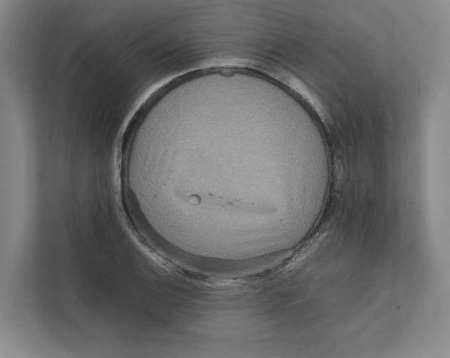 X0000111811124200908201105