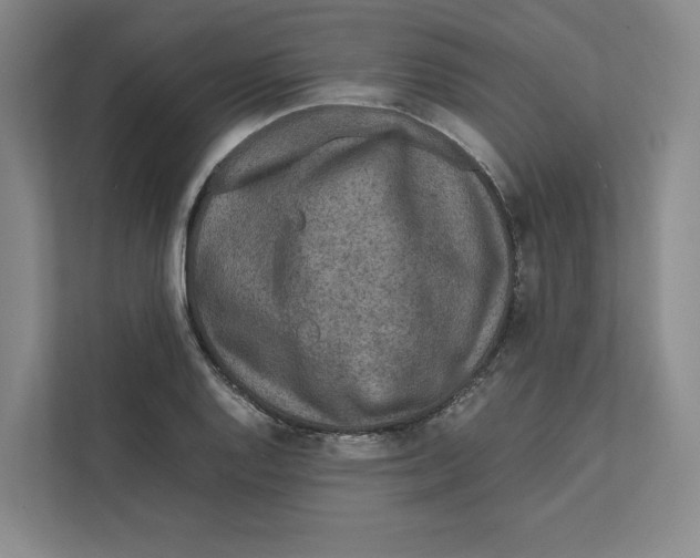 X0000111811128200908201105