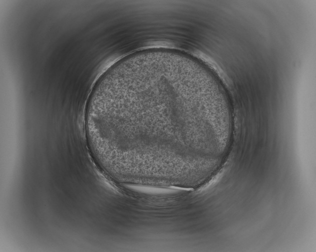X0000111811129200908201105