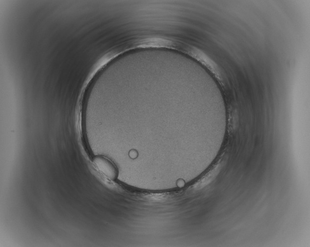 X0000111811130200908201105