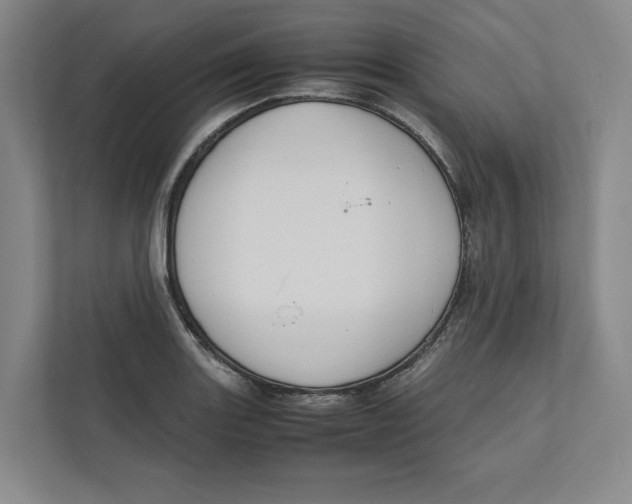 X0000111811131200908201105