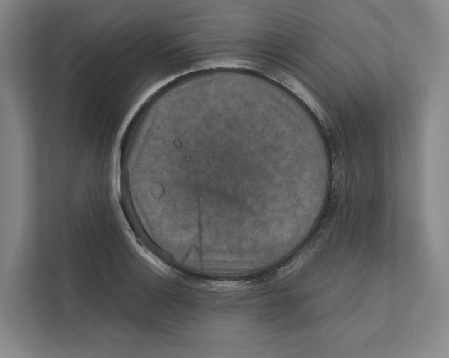 X0000111811132200908201105