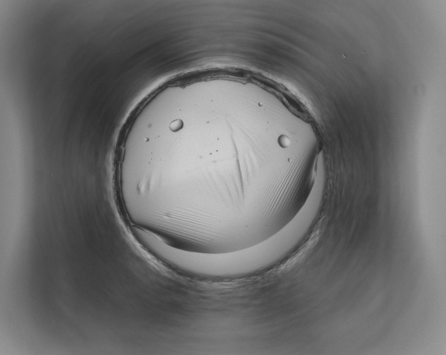 X0000111811134200908201105