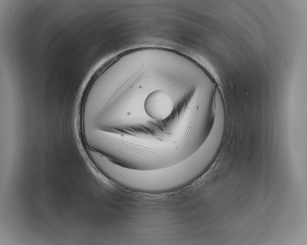 X0000111811136200908201105