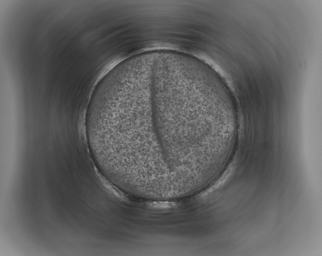 X0000111811137200908201105