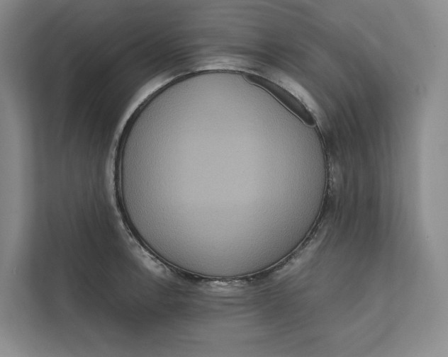 X0000111811138200908201105
