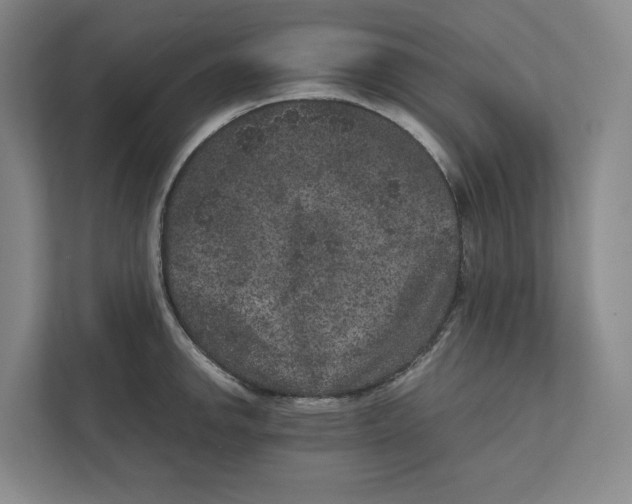 X0000111811142200908201105