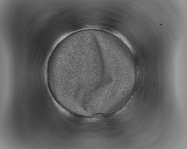 X0000111811143200908201105