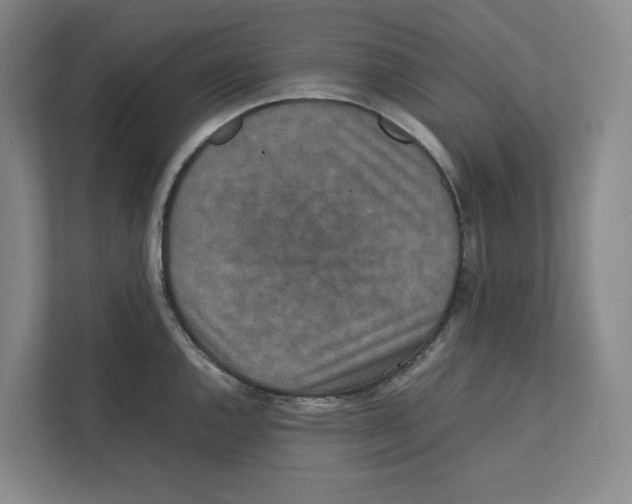 X0000111811144200908201105