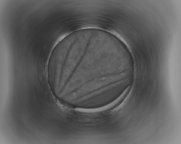 X0000111811145200908201105
