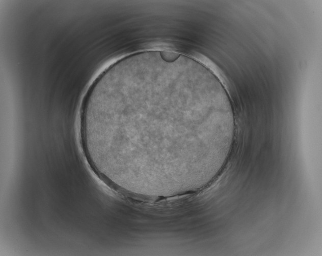 X0000111811147200908201105