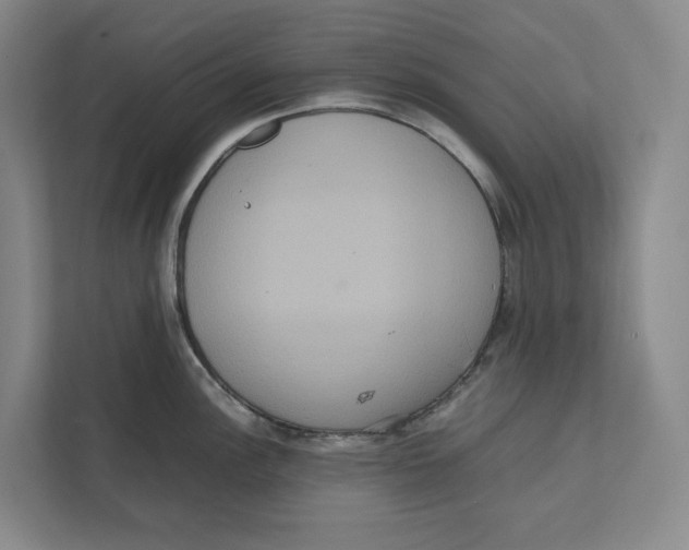 X0000111811148200908201105
