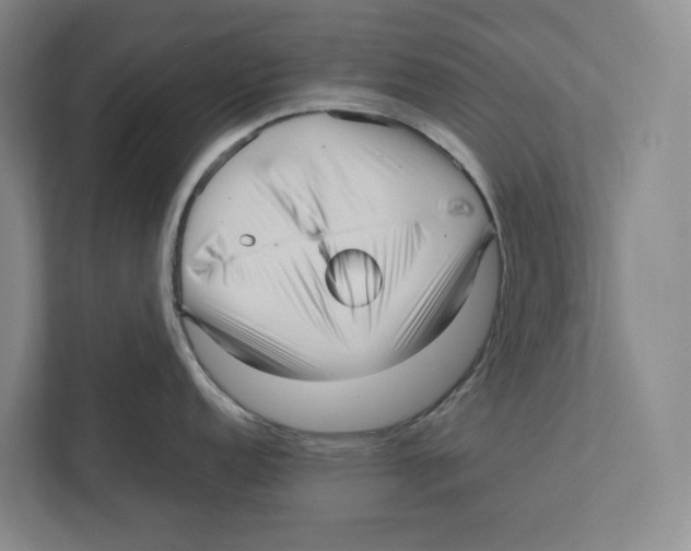 X0000111811152200908201105