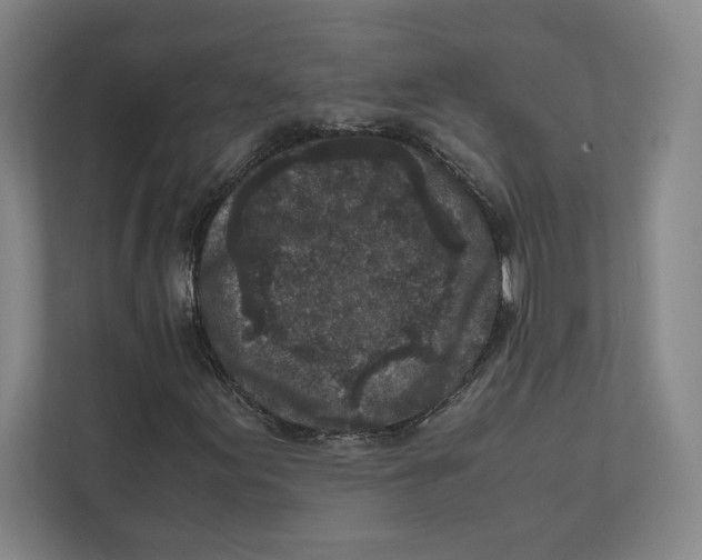X0000111811155200908201104