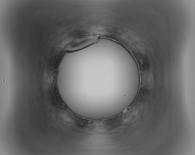 X0000111811157200908201104