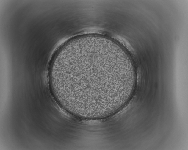 X0000111811164200908201104