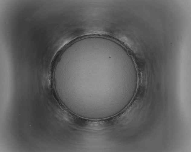 X0000111811165200908201104