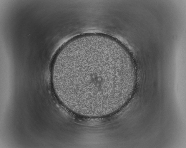 X0000111811167200908201104