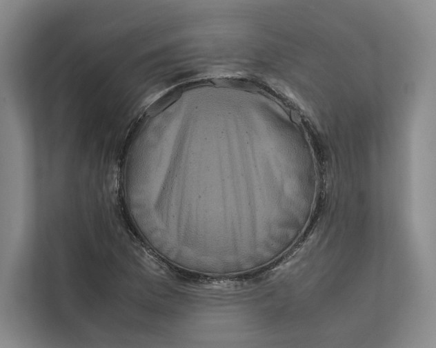 X0000111811169200908201104