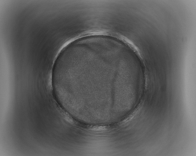 X0000111811174200908201104