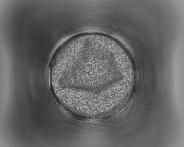 X0000111811175200908201104