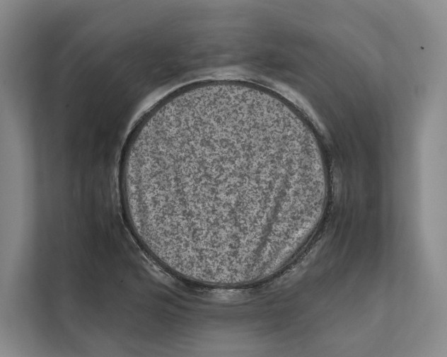 X0000111811176200908201104